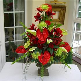fwthumbCIMG0033 (2).jpg